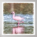 Zoek naar waterverf vogel posters Flamingo