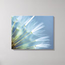 Recherche de flore impressions sur toile Botanique