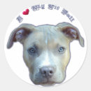 Recherche de pitbull chien autocollants Apbt
