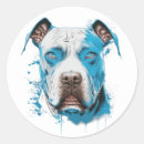Recherche de yeux de chien autocollants Amoureux des chiens