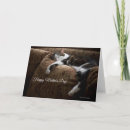 Zoek naar cat mom kaarten Moeder