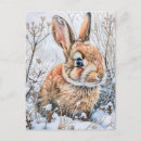 Recherche de lapin neige cartes postales Nature