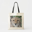 Zoek naar cheetah tassen Kat