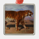 Recherche de tigres ornements Rayures de tigre