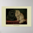 Zoek naar katten illustratie posters Katje