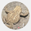 Recherche de toad autocollants Nature