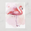 Recherche de rose flamant cartes postales Steampunk