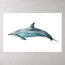 Recherche de mammifères marins posters Dauphin