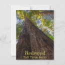 Recherche de forêt de séquoia posters Arbres géants