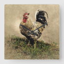 Recherche de farm animal horloges Animals