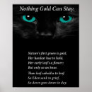 Zoek naar katten gedichten posters Citaat