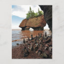 Recherche de marée haute cartes postales Nouveau brunswick