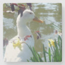 Recherche de canard mignon dessous de verres Fleurs