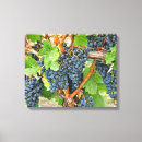 Recherche de cave impressions sur toile Raisins