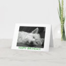 Recherche de westies mignons vœux cartes Montagne