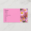 Recherche de jolie marguerite cartes visite Photographie