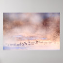 Recherche de grues japonaises posters Animal