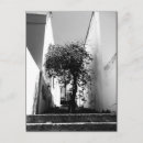 Recherche de arbres cartes postales Voyage