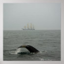 Recherche de mammifère marin posters Baleine