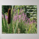 Recherche de cattails posters Photographie
