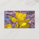 Recherche de jonquilles cartes visite Floral