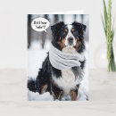 Zoek naar australische herders kaarten Grappig