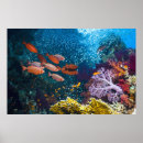 Zoek naar groot oog posters Horizontaal