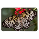 Recherche de cerfs volants volants magnets Insecte
