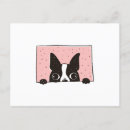 Zoek naar boston terriër briefkaarten Schattig