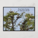 Recherche de chaussures en bois cartes postales Nature