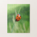 Recherche de coccinelles puzzles Animaux