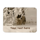 Recherche de dog magnets Neige