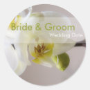 Recherche de orchidée blanche autocollants Orchidées