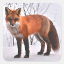 Recherche de nature sauvage autocollants Neige
