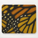 Recherche de insecte de clavier Abstrait