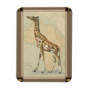 Recherche de girafe magnets Animal