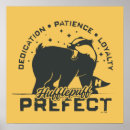 Recherche de maison de hufflepuff posters Harry potter