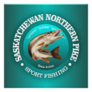 Zoek naar snoeken posters Visserij