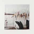 Recherche de pélican blanc posters Faune