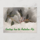 Recherche de alpes cartes postales Snowboard