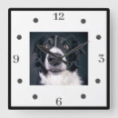Recherche de chien horloges Photo de chien