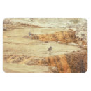 Recherche de tueurs magnets Nature