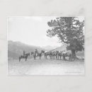 Recherche de paquet cartes postales Historique