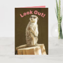 Zoek naar meerkats kaarten Schattig