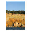 Zoek naar plak posters Zomer