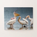 Zoek naar grote vogel puzzels Schattig