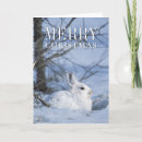 Recherche de lapin neige vœux cartes Animaux mignons