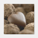 Recherche de chocolat autres Amour
