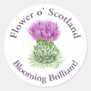 Recherche de fleur nationale autocollants Violet