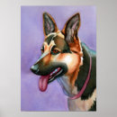 Recherche de chien de berger posters Dogs